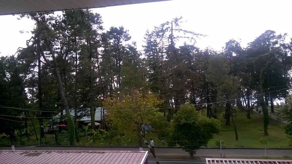 Guest House Kobuleti On Aghmashenebeli Eksteriør billede